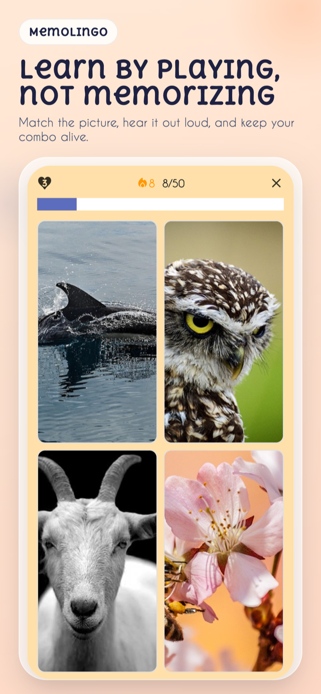 MemoLingo picture-matching game screen